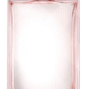 Burberry Brit Sheer Perfume 3.3 oz.